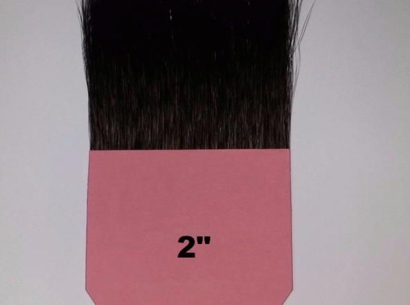 Polonesa 2"