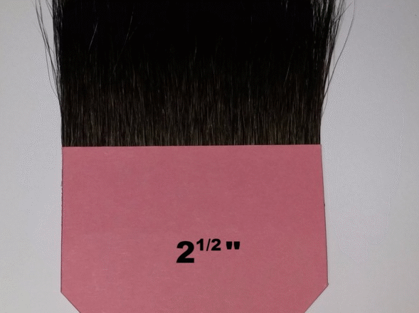 Polonesa 2 1/2"