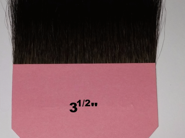 Polonesa 3 1/2"